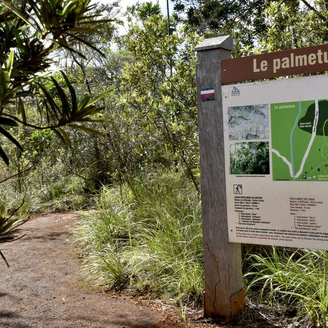 Sentier Palmetum