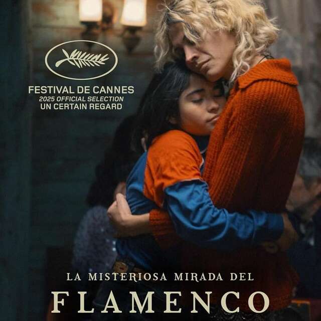 Le mystérieux regard du Flamant Rose