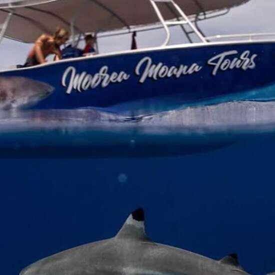 Moorea Moana Tours