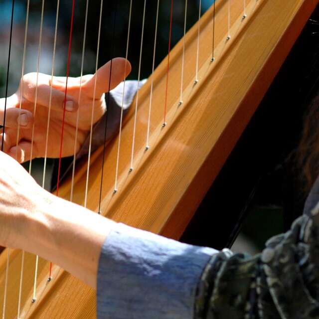 Concert de harpes