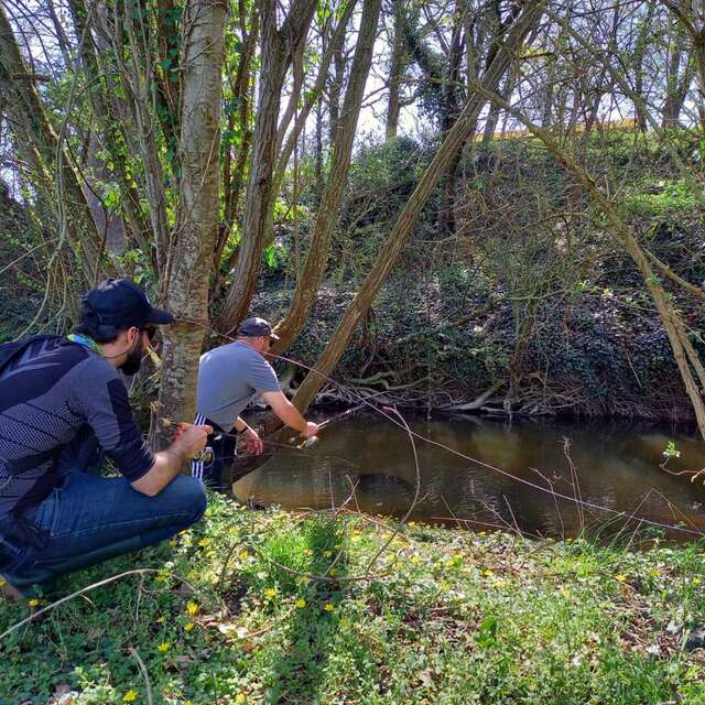 Pêche: guidage carnassiers du bord