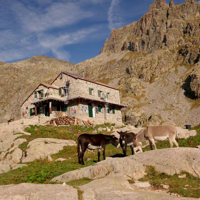 Refuge gardé de la Valmasque, saison estivale