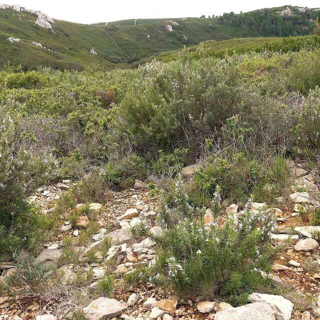 Les garrigues dévoilent leur secret - musée itinérant