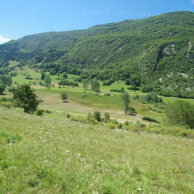 Le marais de Nécuidet