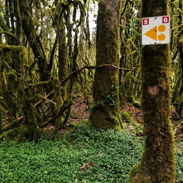 Parcours VTT 6 rouge - Les Enfants du Marais - Espace FFC Ain Forestière