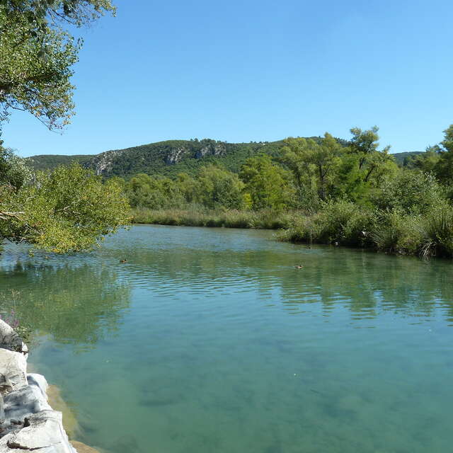 Nature walk : Verdon, portrait of a river