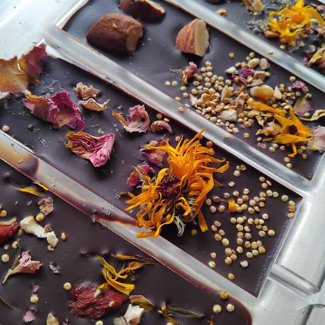 Atelier découverte du chocolat