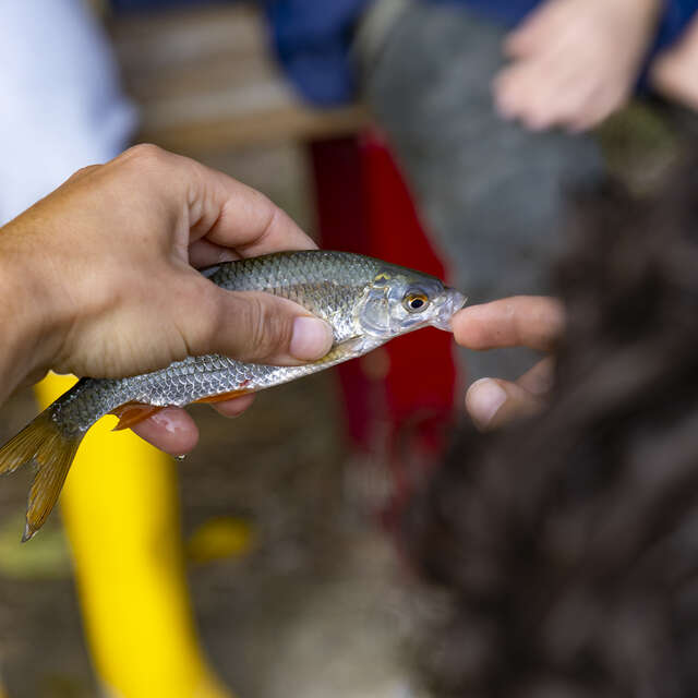 Atelier pêche - Découverte au lac du Tordre
