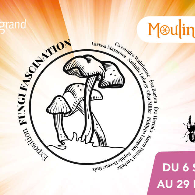 Exposition artistique Fungi Fascination
