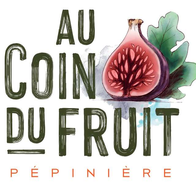 Au coin du Fruit