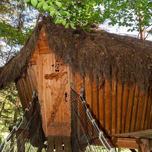 Wooden hut - Blueberries