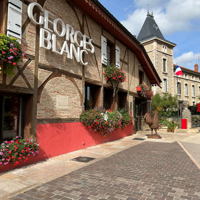 Hôtel Relais et Châteaux Parc & Spa Georges Blanc