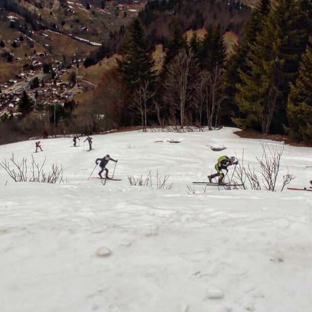 La Torrazienne