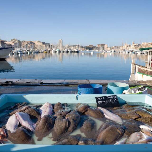 Cuisine marine durable : repenser notre assiette pour préserver la Méditerranée