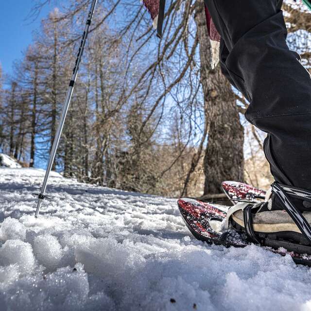 Promenade en raquettes sur le sentier musical jusqu’au sommet de la Calmette, vue mer !