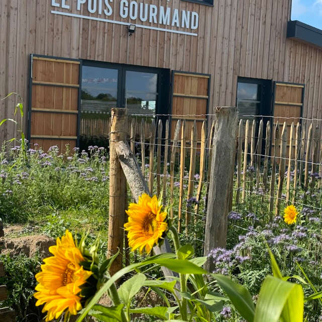 Le Pois Gourmand