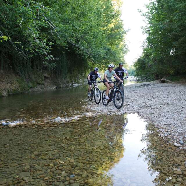 Mountainbike trail N° 8