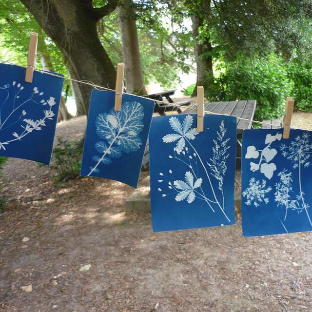 Atelier cyanotype