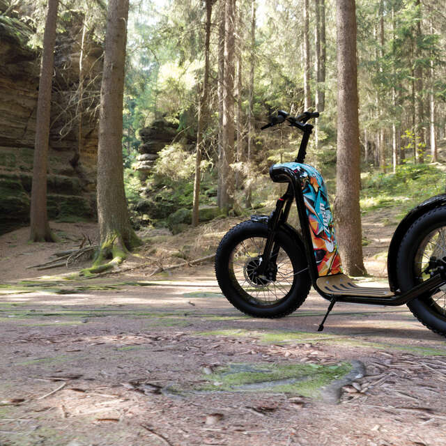 Location et balade en trottinettes électriques D’ TROTT