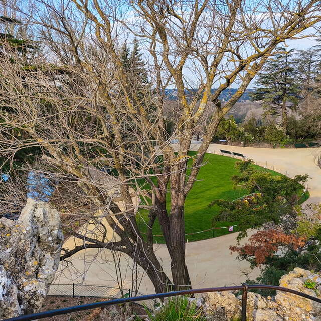 Le jardin du Rocher des Doms