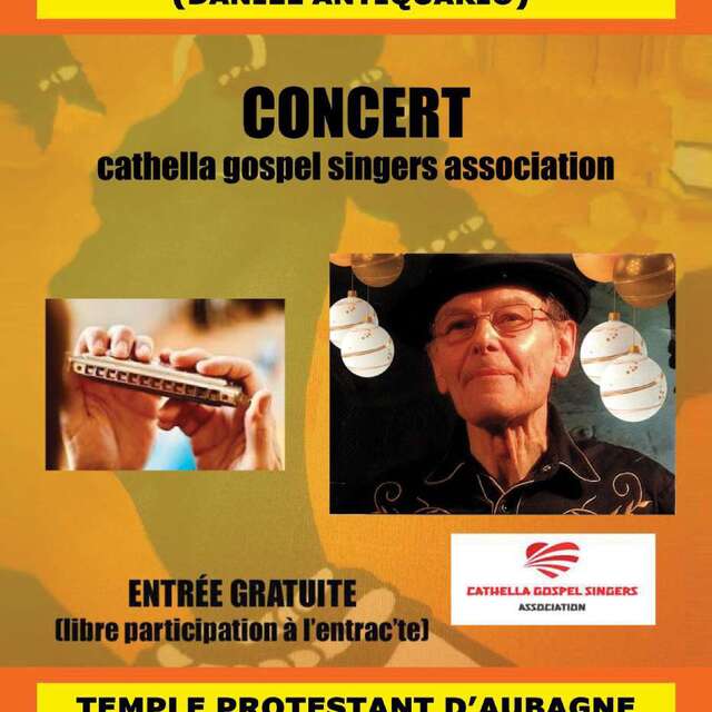 Concert de l'homme à l'harmonica