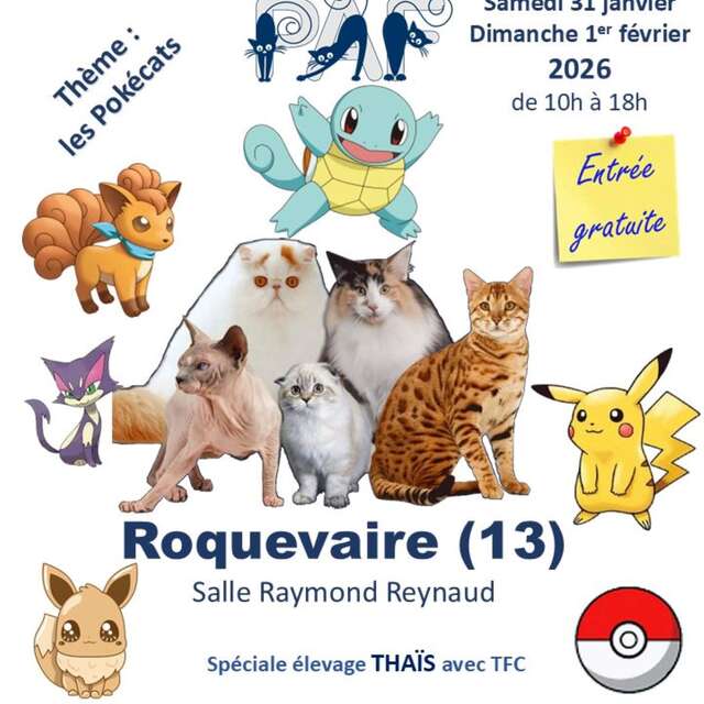 Salon du chat de race