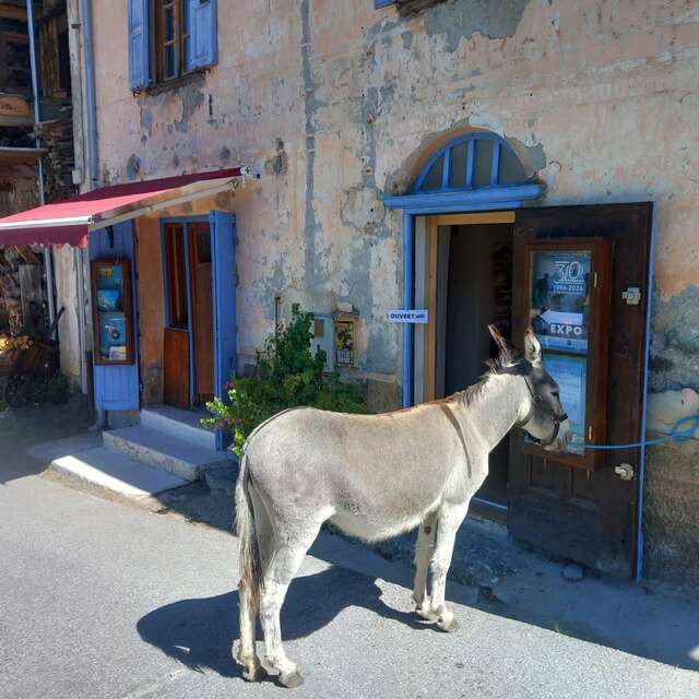 "Fine Art" Store