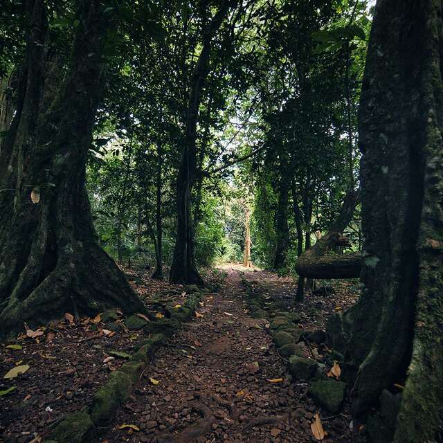 Marae De Opunohu Et Sentier Des Ancêtres