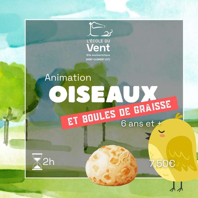 Oiseaux et boules de graisse