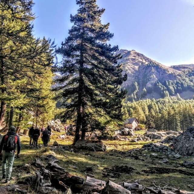 Projection documentaire avec le Parc National du Mercantour