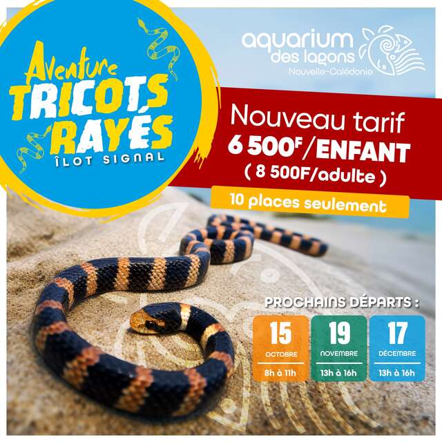 Aventure tricots rayés