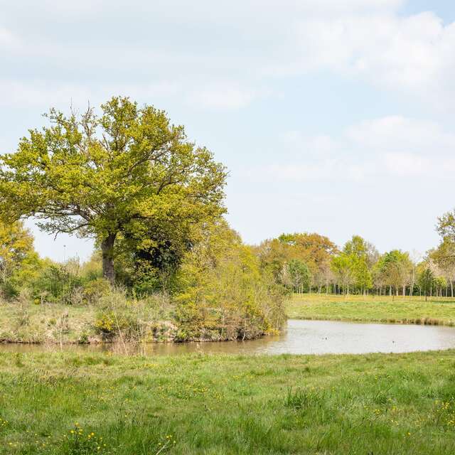 Walk around Saint-Martin-du-Fouilloux