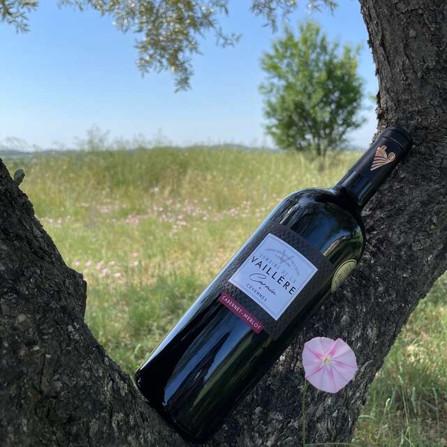 Le Caveau du Domaine de La Vaillère