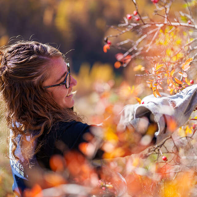 Découverte de la cueillette sauvage et fabrication artisanale à base de plantes