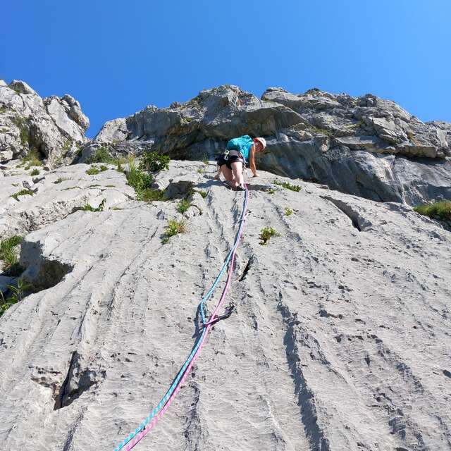 Escalade