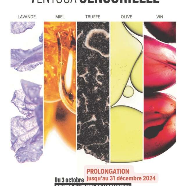 Exposition Ventoux sensorielle