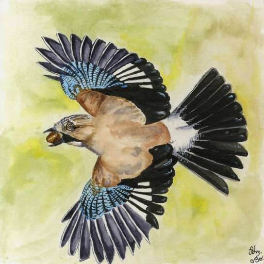 Initiation encre de Chine