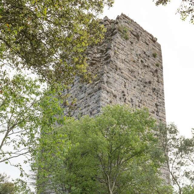 La Tour du Puech à Cendras