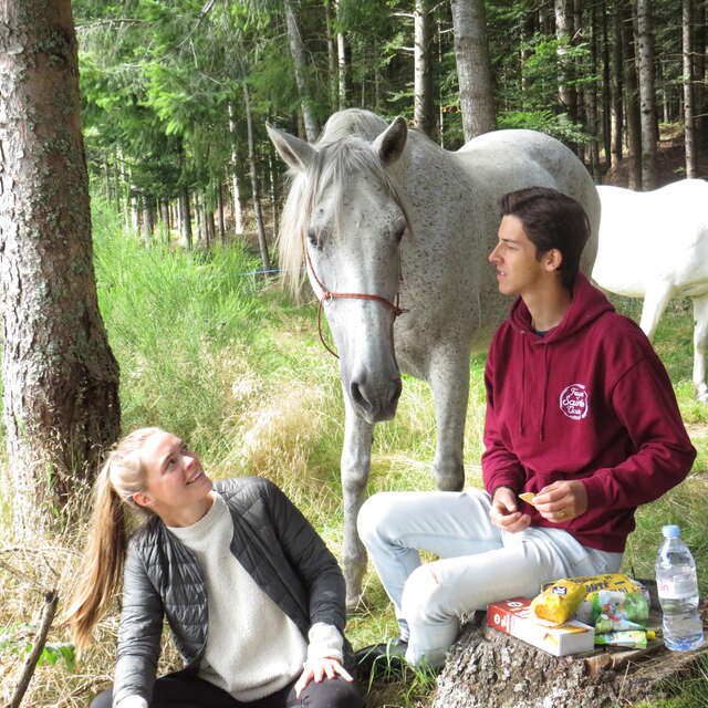 Les chevaux de Capucine