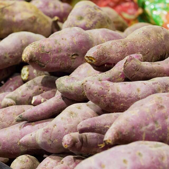 Fête de la patate