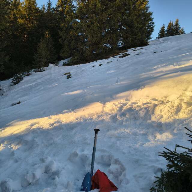 Sauvetage Avalanche en Autonomie ANENA – niveau 1+2
