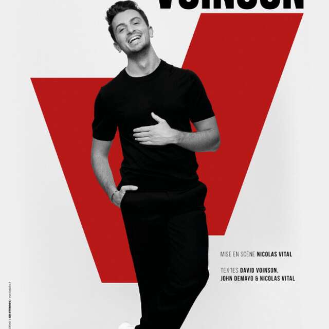 One man show : David Voinson