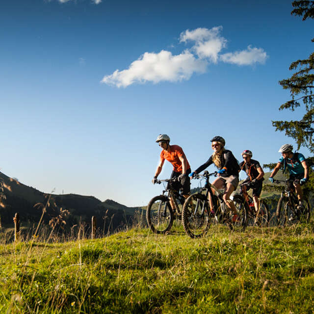 Bikepark Champéry - Morgins