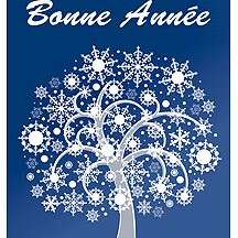 Soirée du 1er de l'An