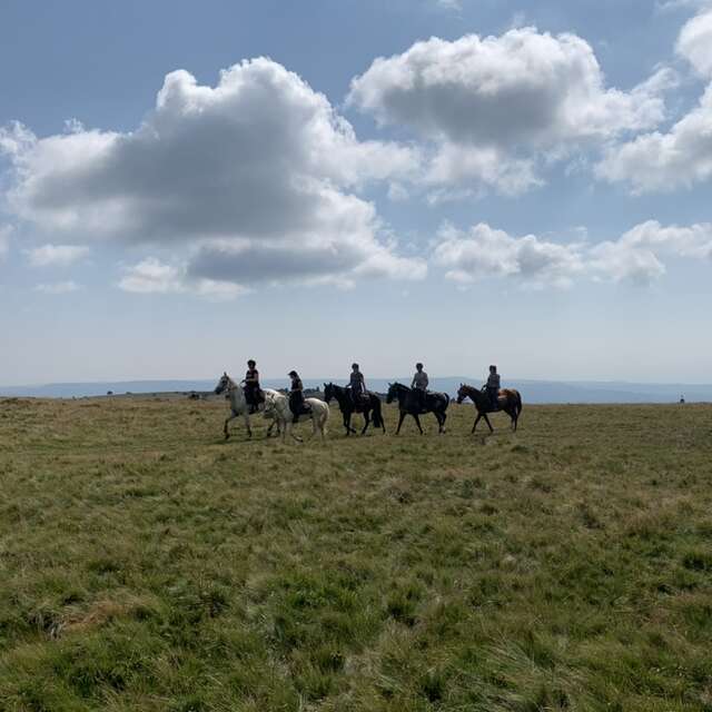 Between heaven and earth - Horse riding and trekking