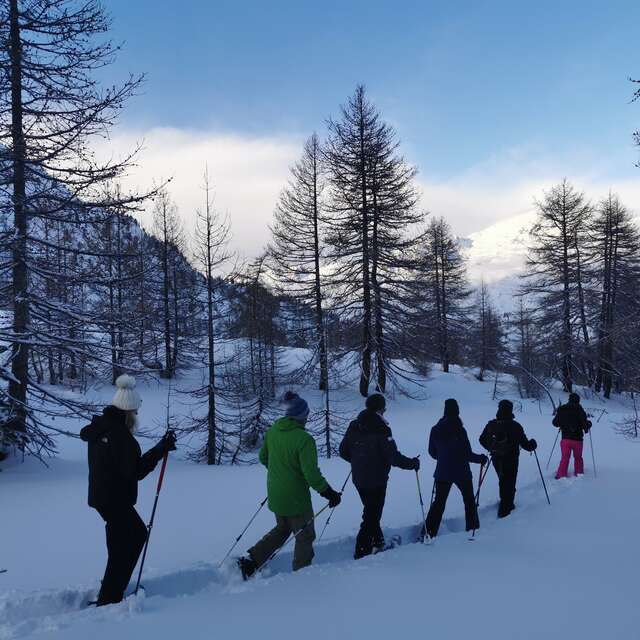 Raquettes, repas en refuge et descente en luge - Terres de Trek