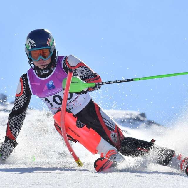 Grand Prix International Citadin