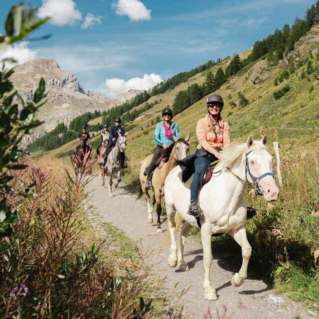 Horse riding school & & Pony Club