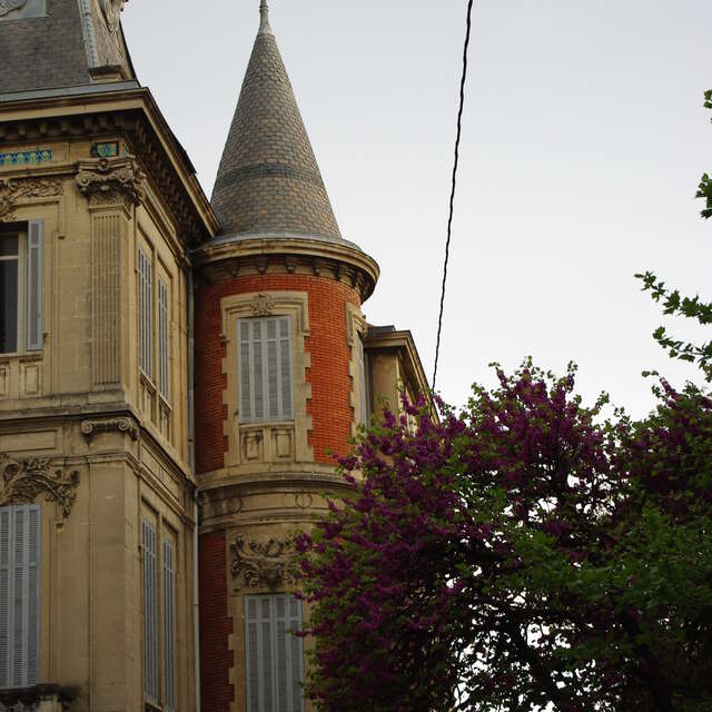 Visites guidées : Centre Historique