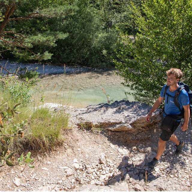 BRANTES - Plantes médicinales et toxiques